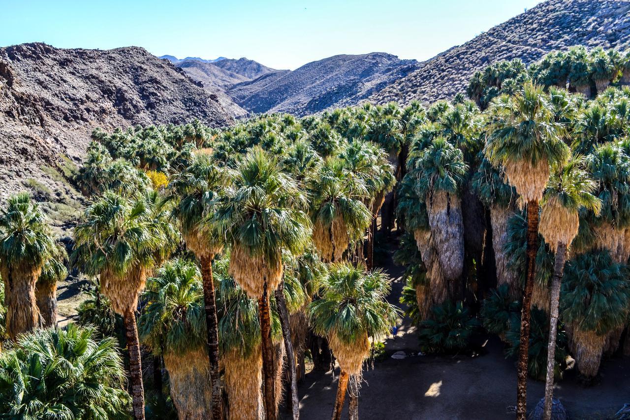 Villa Thornhill Palm Springs Exteriör bild